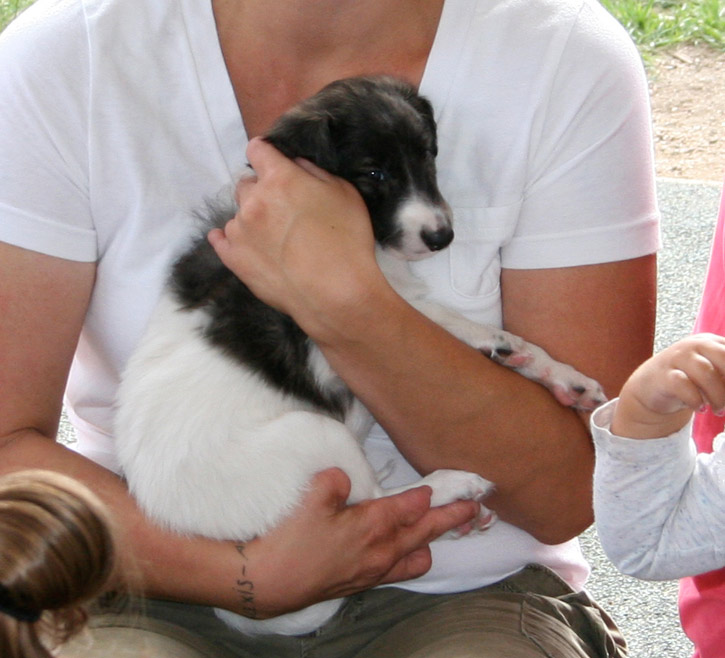 Surf Spots - Boy 2 Hug